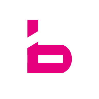 Logo Bora-Handwerk